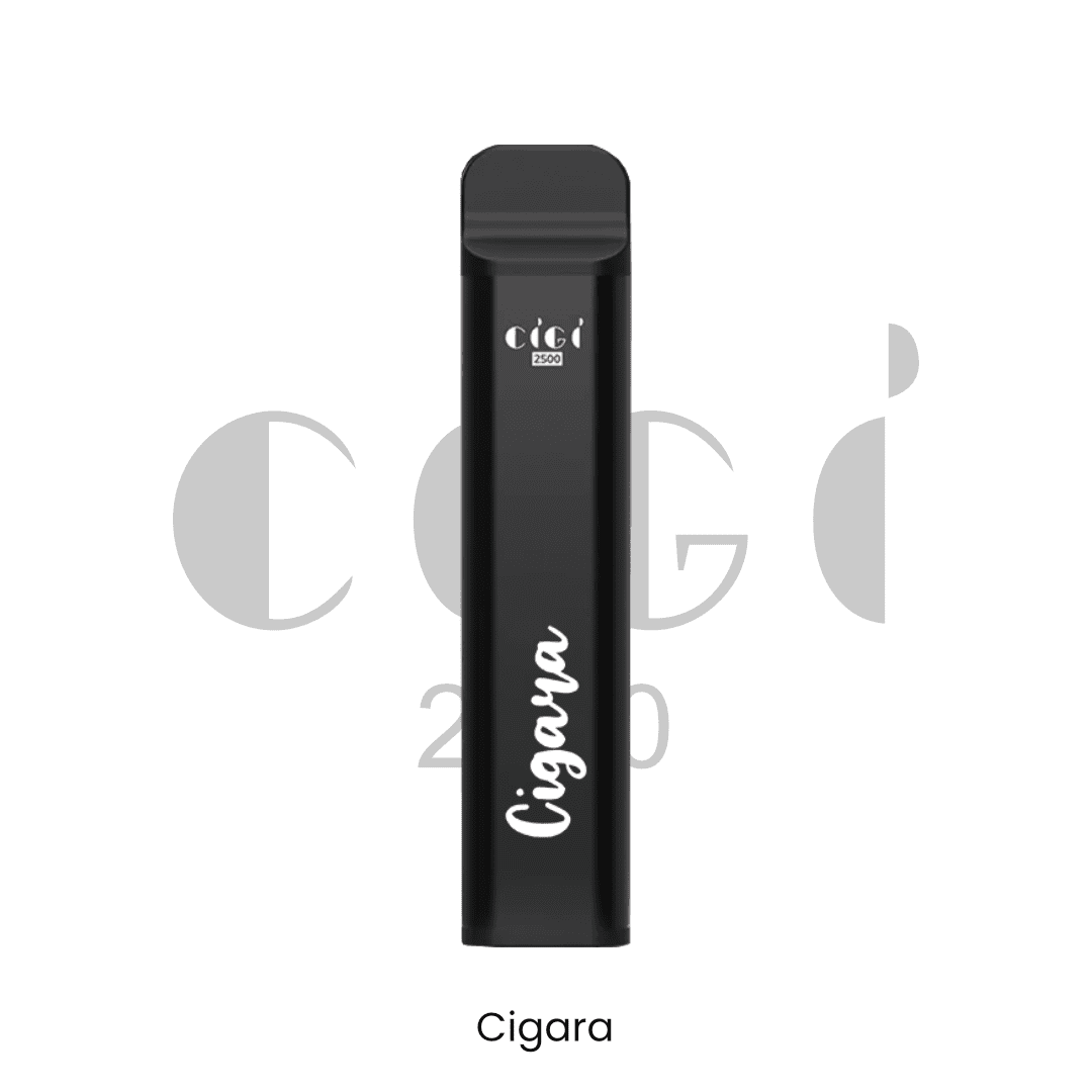 ECIGARA - CIGI 2500 Disposable Pod (50mg 5%) | Vapors R Us LLC