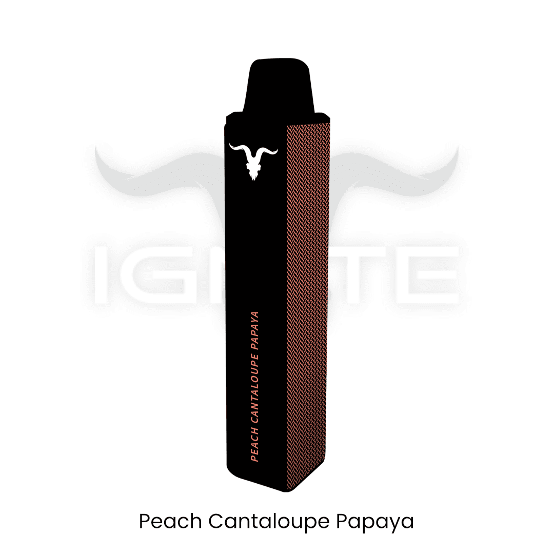 IGNITE - V15 1500+ Puffs Disposable Vape Pen | Vapors R Us LLC