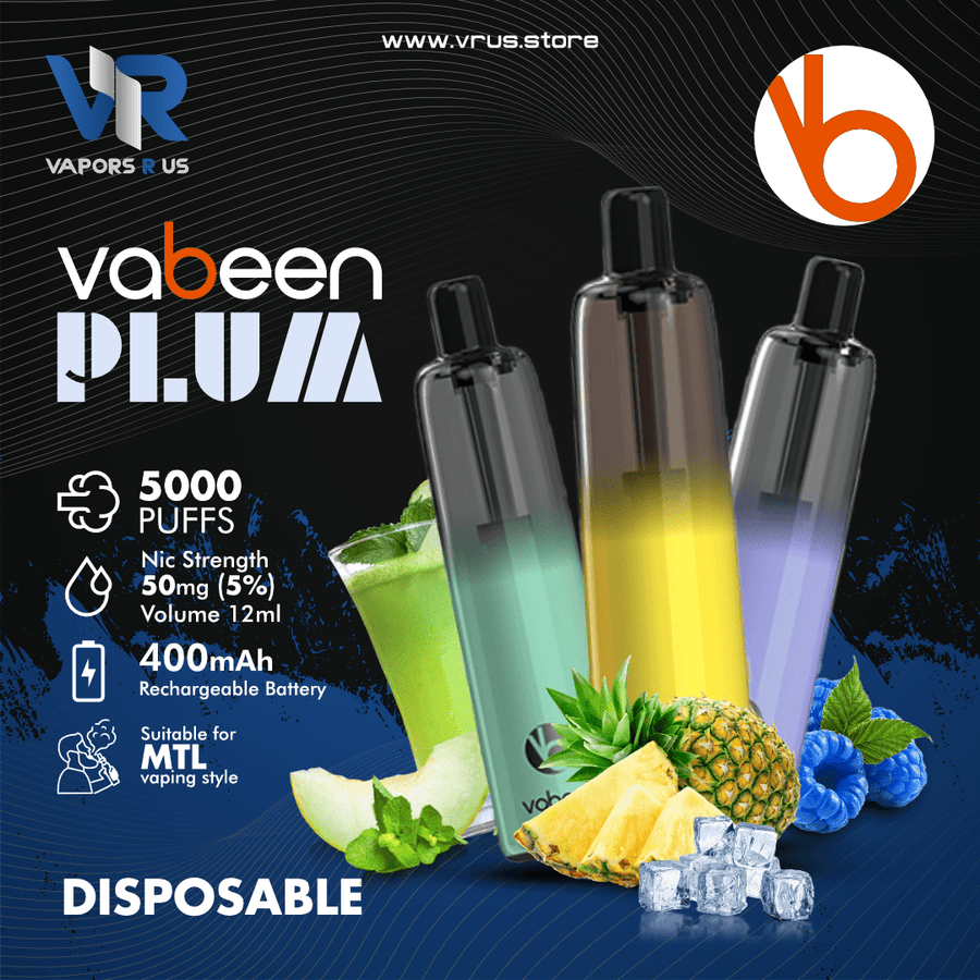 VABEEN PLUM 5000 Puffs Disposable Vape Pen | Vapors R Us LLC